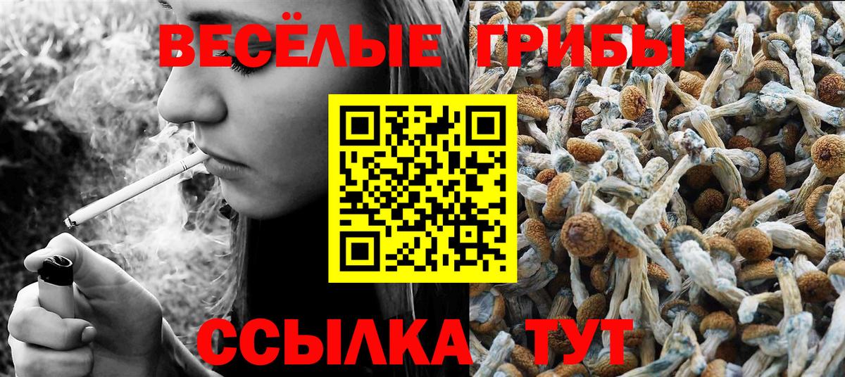 Галлюциногенные грибы Psilocybine cubensis  Псилоцибиновые грибы Magic Shrooms  Кимры  Вход с VPN 